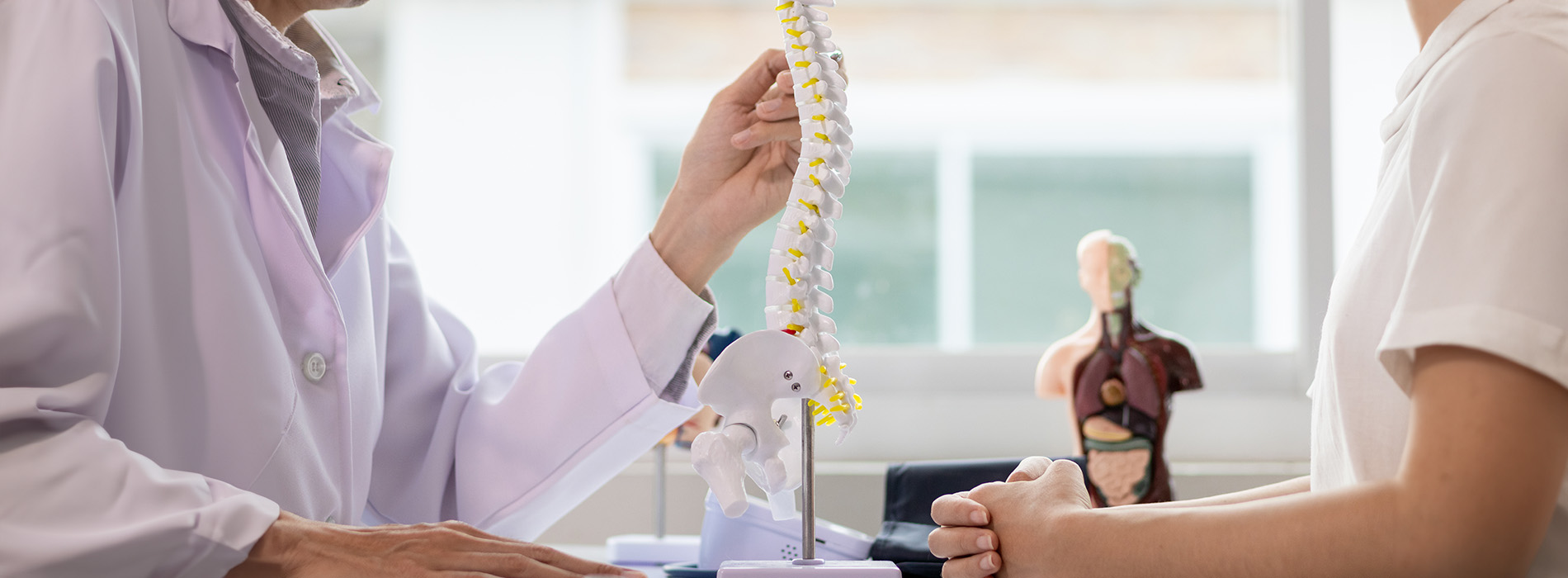 The image depicts two individuals in a medical setting, with one person holding what appears to be a 3D model of a human torso, while another person, possibly a medical professional, looks on, suggesting an educational or diagnostic context.